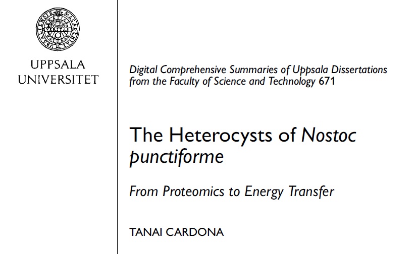 Custom history dissertation service public viewing